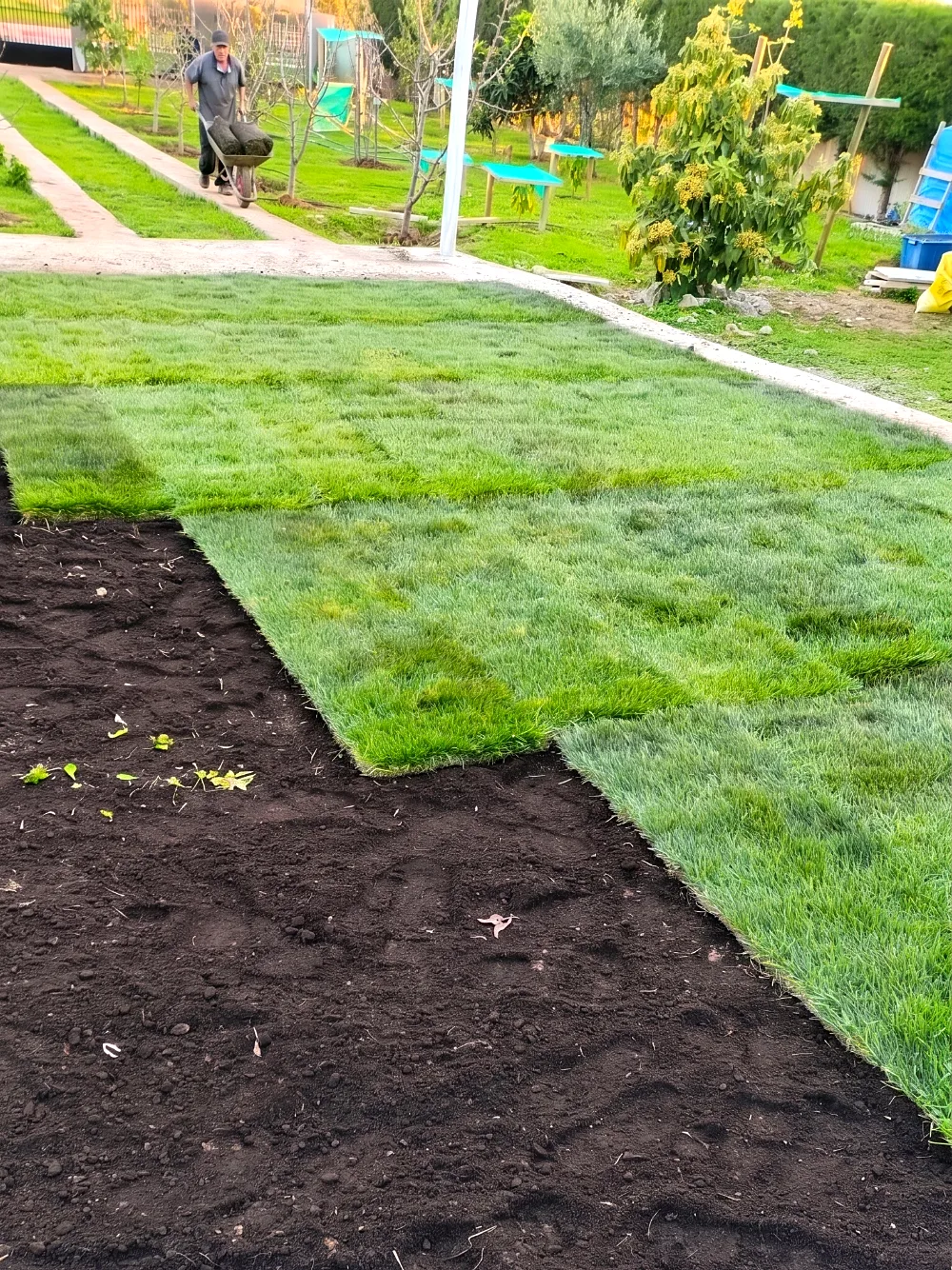 Instalación de pasto en rollo sobre tierra preparada, con un trabajador trayendo más rollos en carretilla